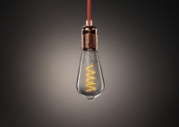Edison Spiral LED Decorative Bulb